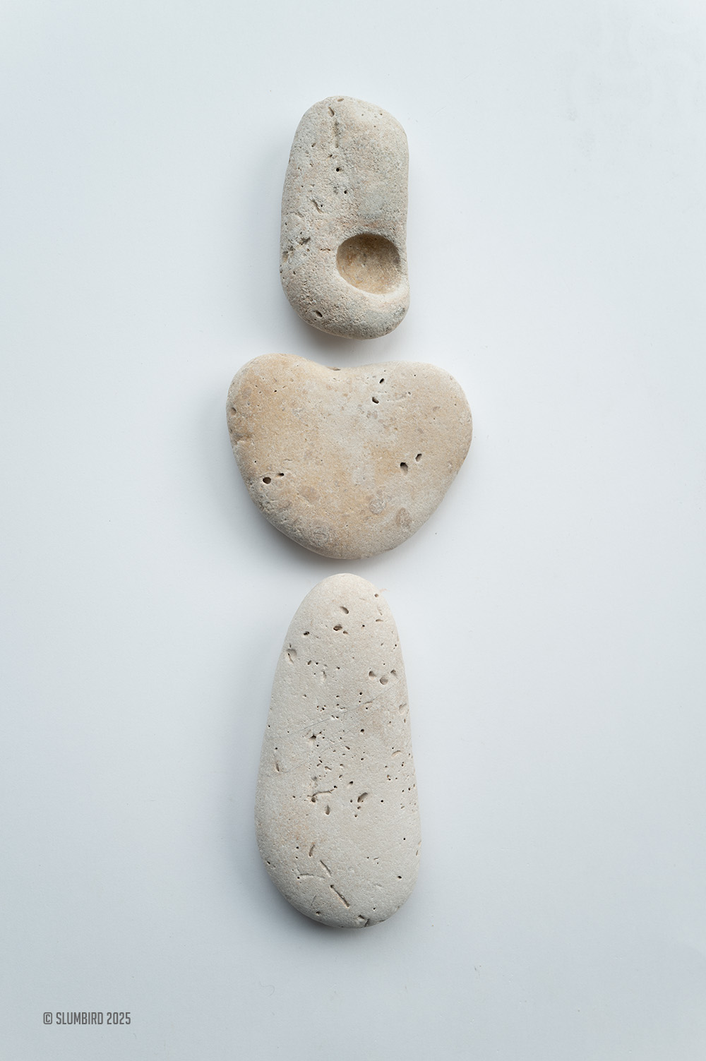 in memory by Slumbird