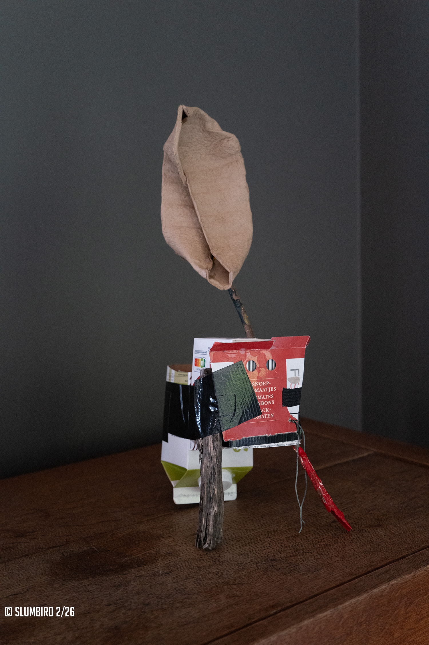 Beeld1-doorSlumbird-26